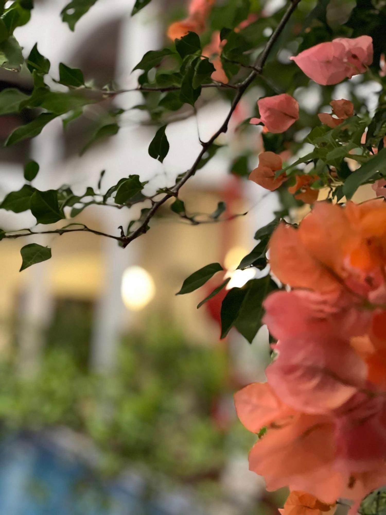 The Killians Boutique Hotel Коччи Экстерьер фото